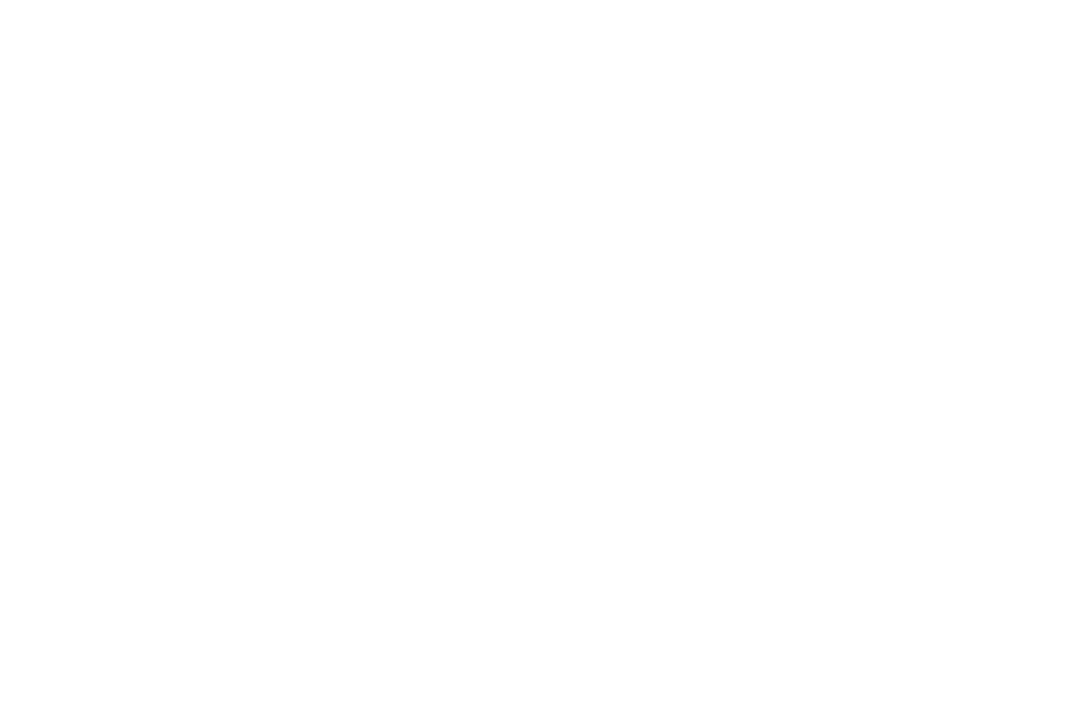 Apex Bharat Printer